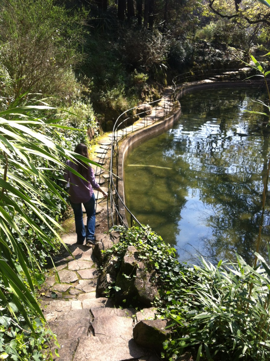 Fundação de Serralves