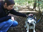 Wandern mit Huskies