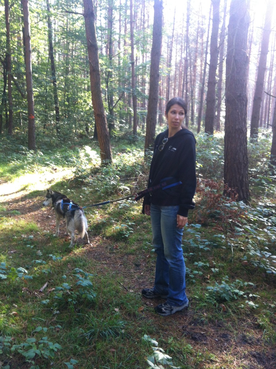 Wandern mit Huskies