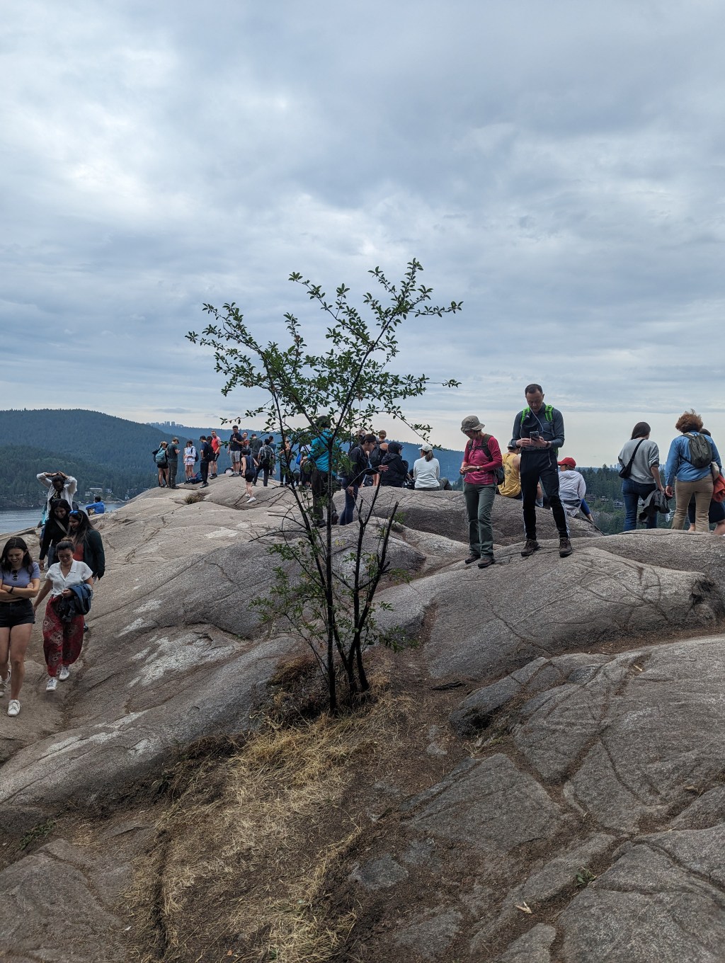 Nie wieder Sightseeing!