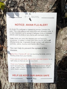 Ein Schild im Vogelschutzgebiet, auf dem steht: "Notice: Avian Flu Alert"
