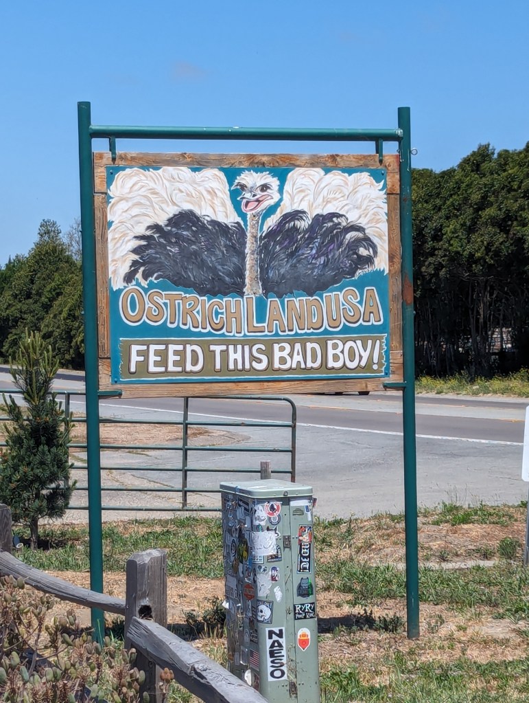 Ein Schild, auf dem ein Strauß gemalt ist, steht am Straßenrand. Es hat die Aufschrift "Ostrichland USA - Feed this bad boy!"