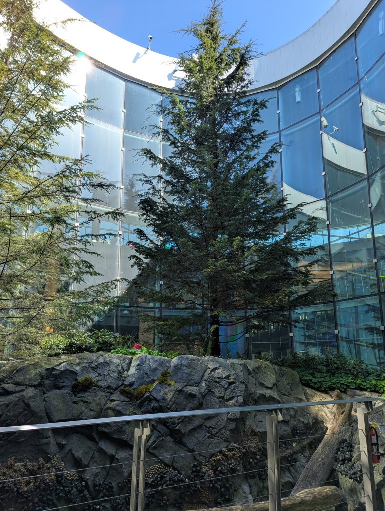 Ein Atrium mit verschiedenen Bäumen, Pflanzen und Felsblöcken.