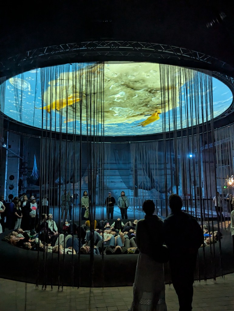 Eine Kunstinstallation, bei der es unten am Boden einen großen, runden Sitzkreis gibt, in dem sich Personen hinlegen oder -setzen können. Sie blicken über sich auf einen runden Bildschirm, auf dem verschiedene Videos projiziert werden. An der Seite des Bildschirms laufen einzelne lange Fäden wie ein Vorhang nach unten und reichen fast bis auf den Boden.