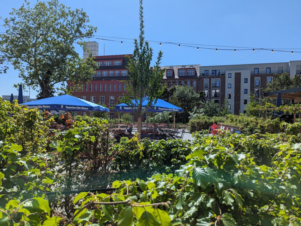 Ein auf einer Anhöhe gelegener Biergarten mit Tischen, Stühlen und blauen großen Sonnenschirmen. Darum gibt es viele Büsche und einige Bäume. Außerdem sind Lichterketten über die Fläche gespannt.