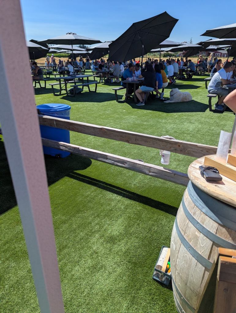 Ein Biergarten mit Kunstrasen und grauen Plastikbiergarnituren und Sonnenschirmen. Viele Gäste und Hunde sitzen an und um die Tische.