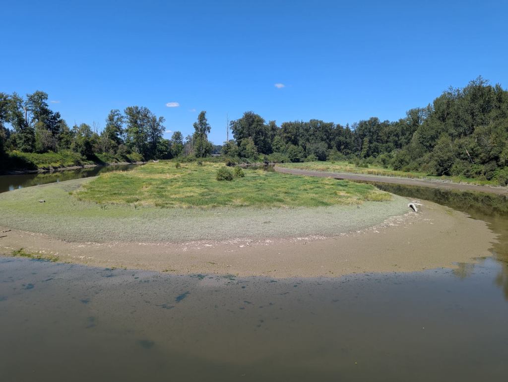 Ein Fluss mit Sandbank, auf dem Gras und einige Büsche zu sehen sind.