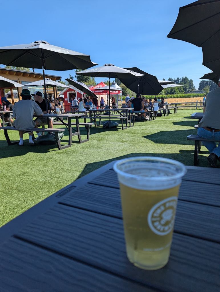 Auf einem Tisch steht ein Bier in einem Plastikbecher. Dahinter sieht man einige Reihen von Biertischen, an denen Gäste sitzen. Im Hintergrund kann man ein kleines rotes Häuschen erkennen.