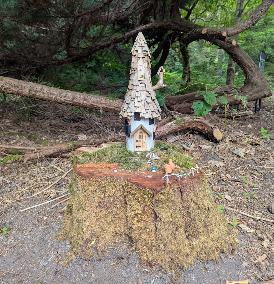 Auf einem Baumstamm steht ein kleines hellblaues Zwergenhaus mit einer großen hellbraunen Tür.