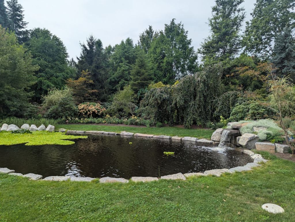 Ein Gartenteich, bei dem Wasser aus einem künstlichen Felsen in den Teich fließt. Der Teich ist mit Steinen umrandet und in eine Wiese eingebettet. Dahinter kann man verschiedene Büsche und Bäume erkennen.