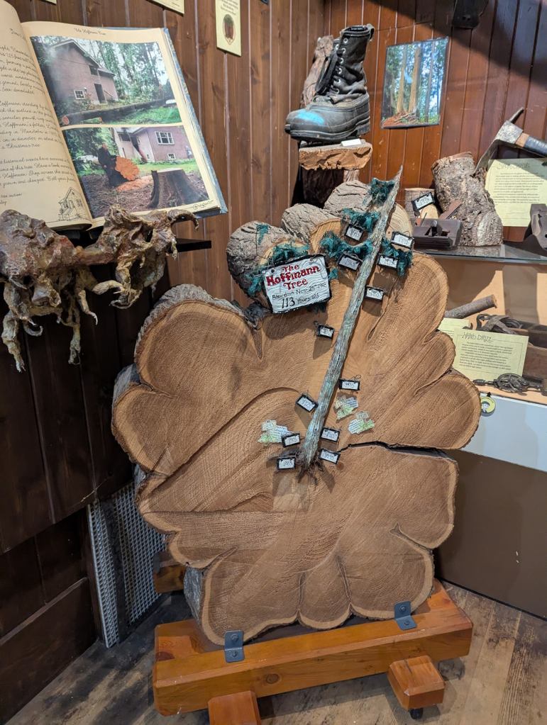 Der Querschnitt eines Baumes versehen mit Jahreszahlen.