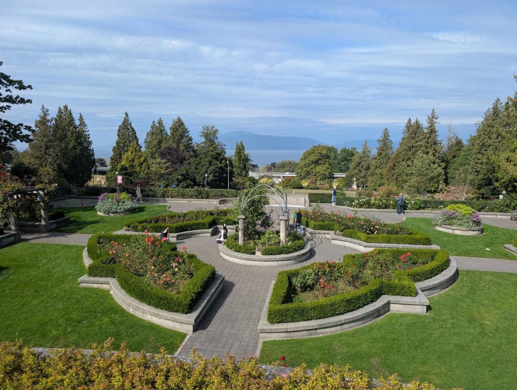 Der Rosengarten der University of British Columbia. Im Hintergrund ist das Meer und eine Insel zu sehen. Durch den etwas wolkenverhangenen Himmel scheint die Sonne.