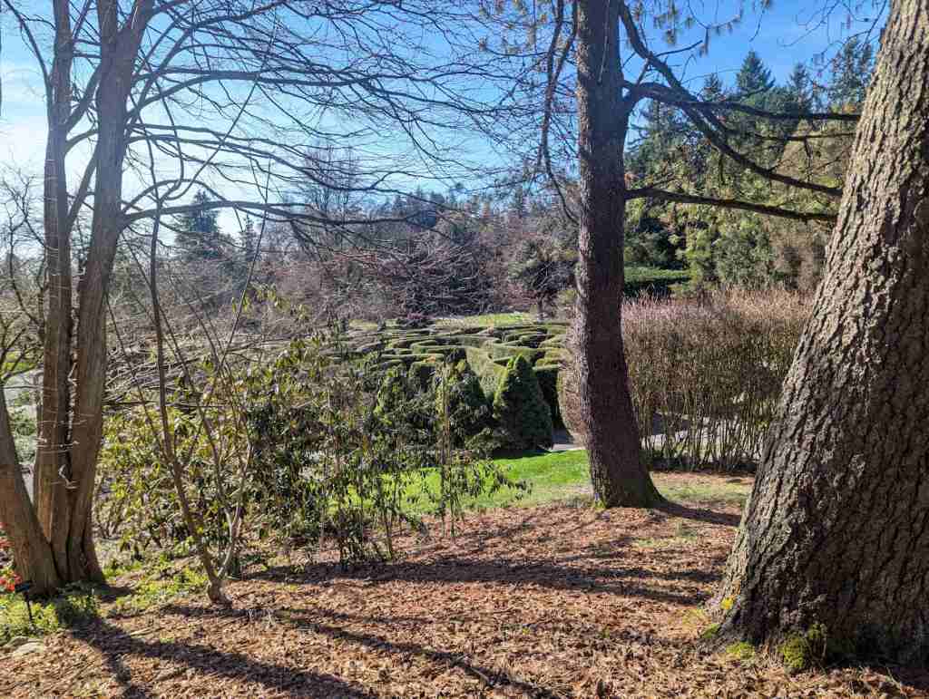 Im Vordergrund weicher Waldboden, dahinter sieht man einen grünen, also aus Hecken gestalteten, Irrgarten.