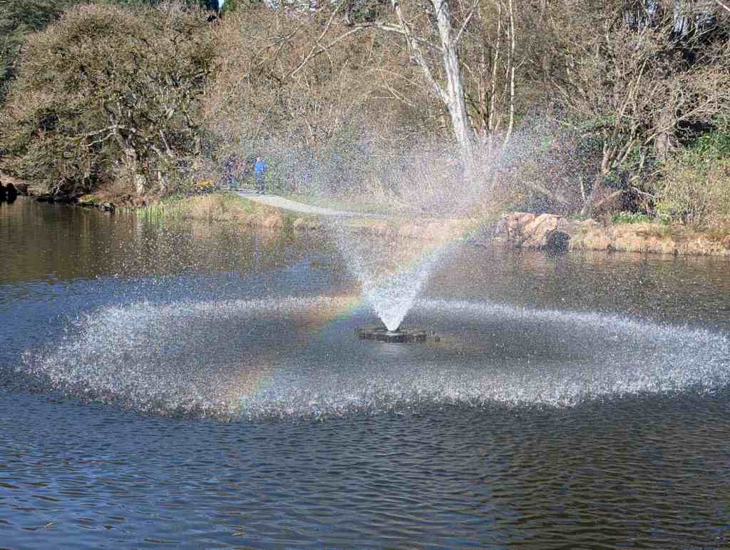 Ein Wassersprinkler spritzt Wasser in einem Teich in die Luft und erzeugt einen wunderschönen Regenbogen.