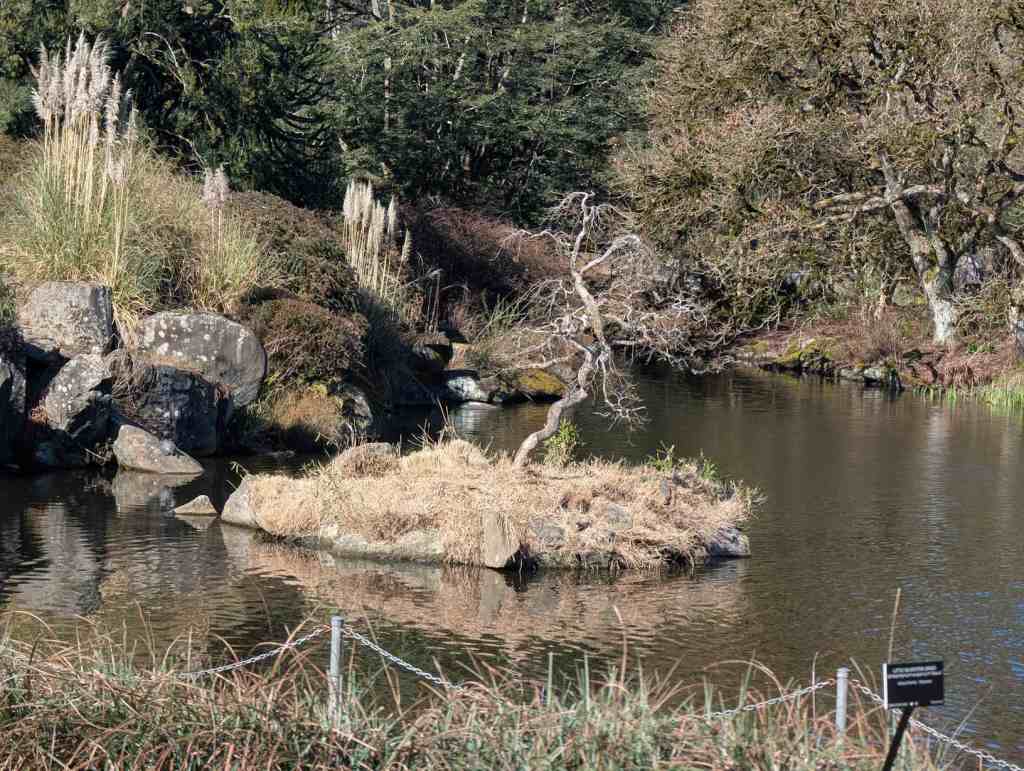 Die Schildkröten-Insel.