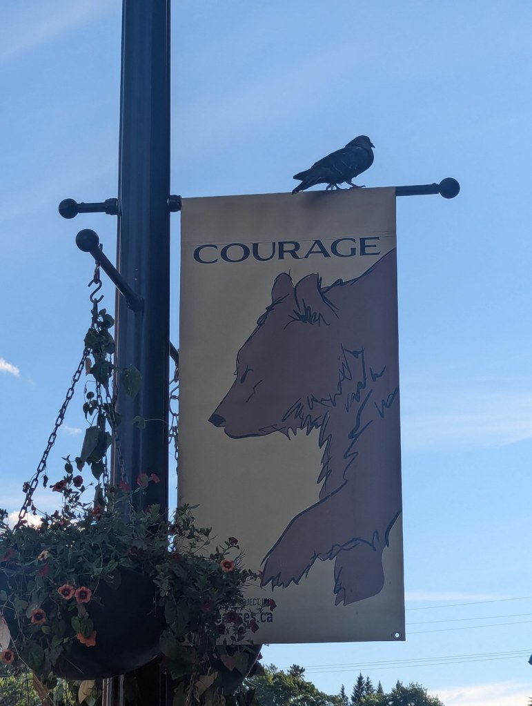 Nahaufnahme einer Straßenlaterne mit einem Schild, auf dem ein Bär und das Wort Courage geschrieben steht. Auf diesem Schild sitzt eine Taube.
