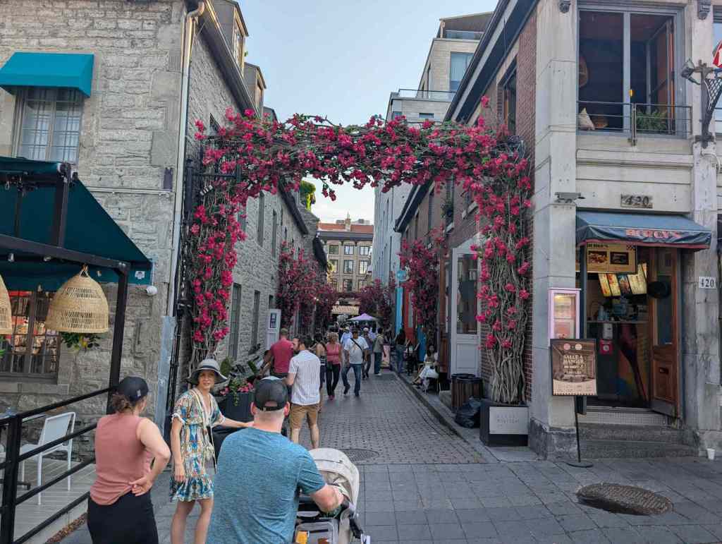 Alte Gasse, deren Eingang von rot geblümten Blumenranken gesäumt ist. Tourist*innen flanieren an den Geschäften vorbei.